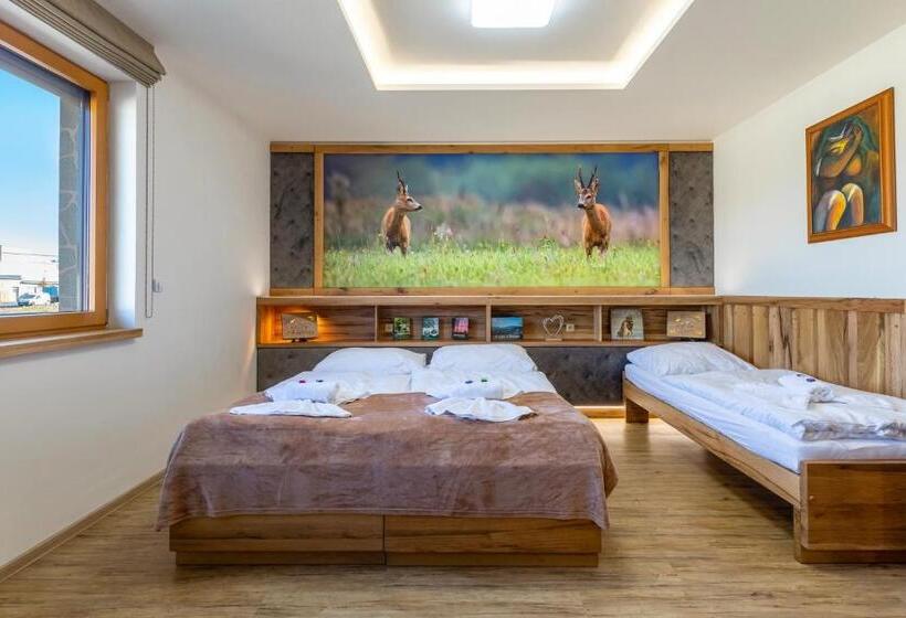 اتاق لوکس سه تخته, Penzion U Medvěda