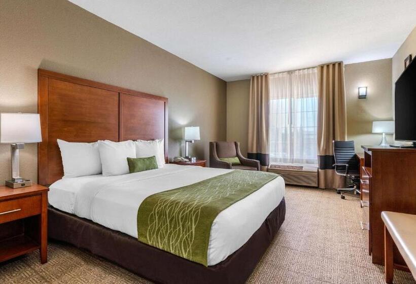 스탠다드 룸 킹사이즈 침대, Comfort Inn & Suites Sacramento   University Area