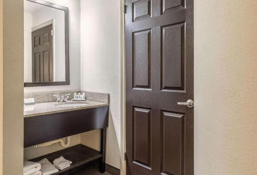חדר סטנדרט עם מיטת קינג, Quality Inn Memphis Northeast Near I40