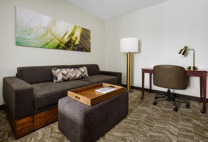 اتاق استاندارد با 2 تخت دوبل, Springhill Suites Manchesterboston Regional Airport