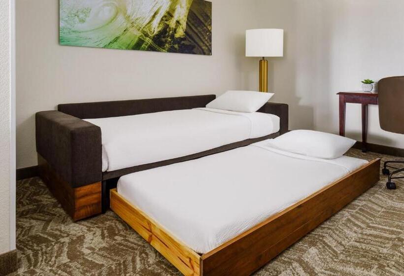 带2个双人床的标准工作室, Springhill Suites Manchesterboston Regional Airport