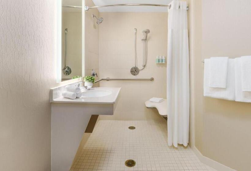 带大床的套房, Springhill Suites Manchesterboston Regional Airport