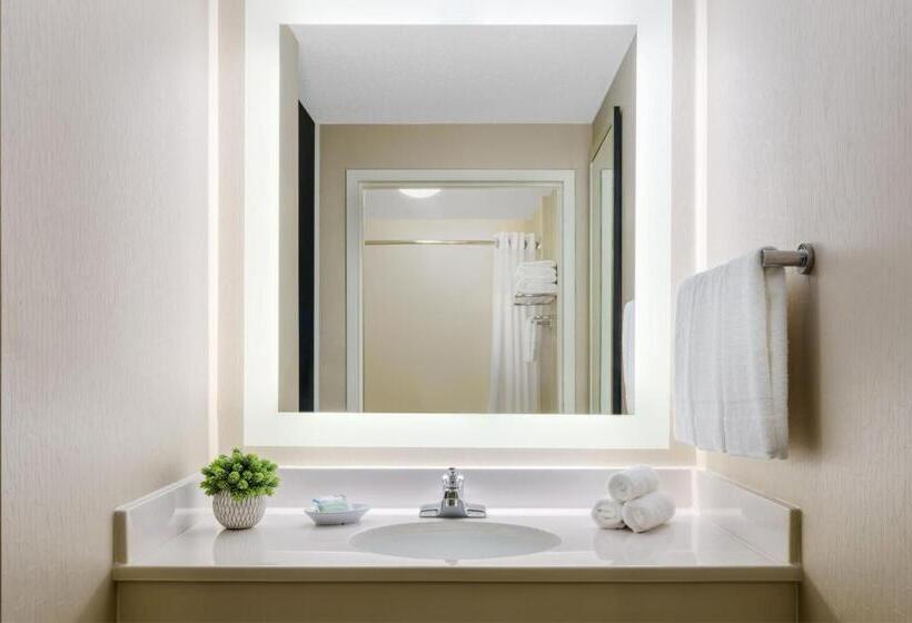 سوئیت اجرایی با تخت کینگ, Springhill Suites Manchesterboston Regional Airport