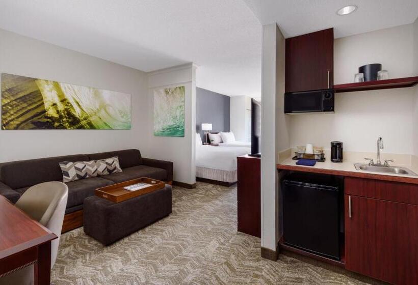 适合残疾人士使用的套间, Springhill Suites Manchesterboston Regional Airport