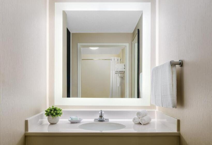 اتاق استاندارد با 2 تخت دوبل, Springhill Suites Manchesterboston Regional Airport