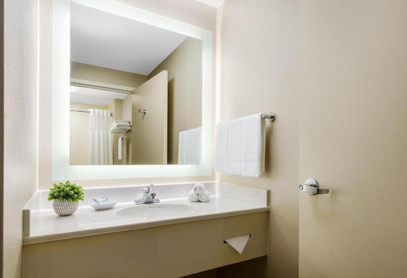 带2个双人床的标准工作室, Springhill Suites Manchesterboston Regional Airport