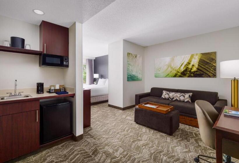 سوئیت اجرایی با تخت کینگ, Springhill Suites Manchesterboston Regional Airport
