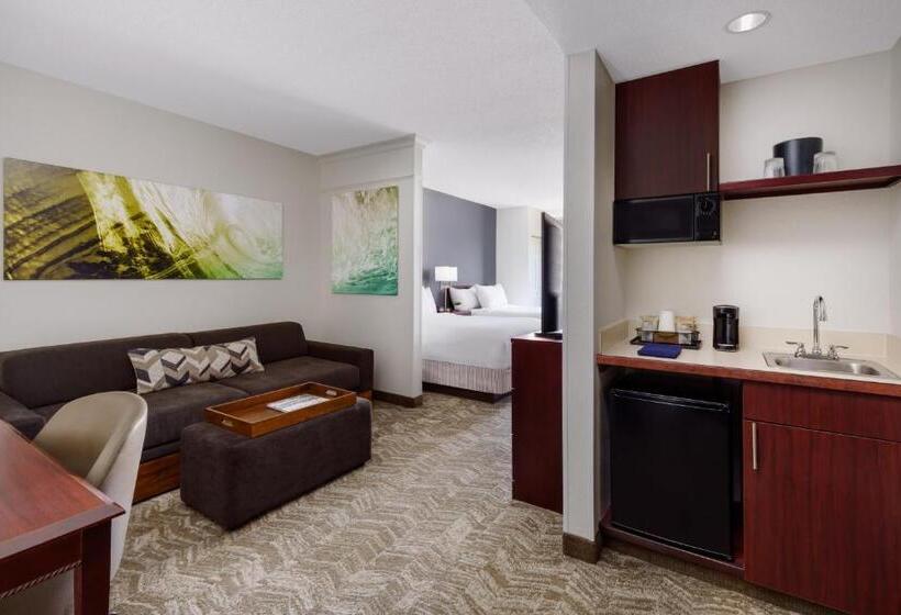 适合残疾人士使用的套间, Springhill Suites Manchesterboston Regional Airport