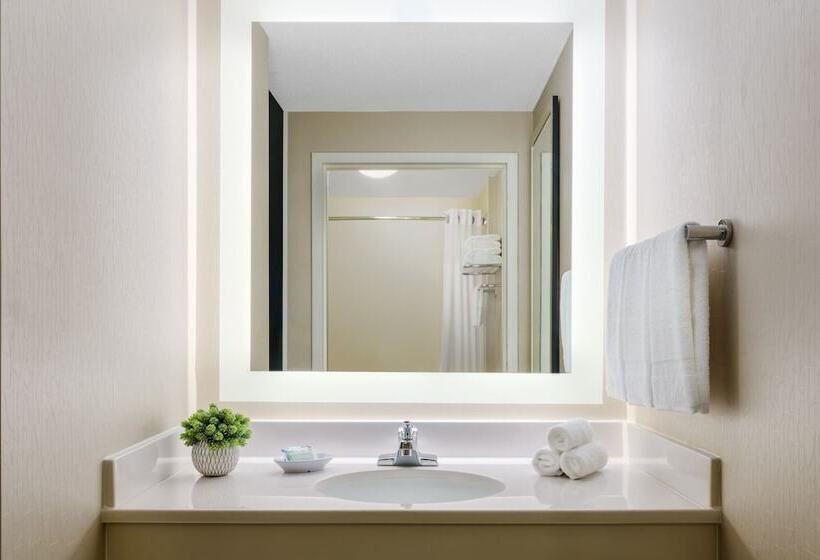 行政套房, Springhill Suites Manchesterboston Regional Airport