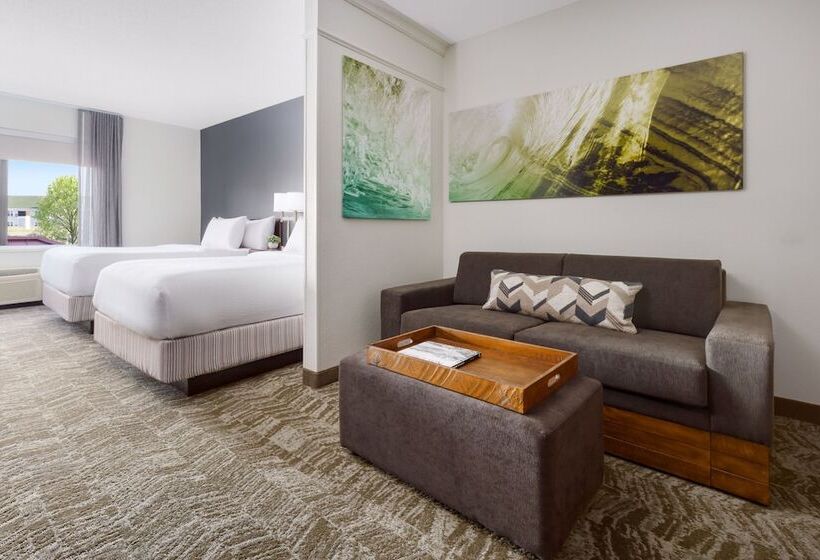 行政套房, Springhill Suites Manchesterboston Regional Airport