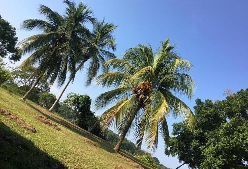 اتاق لوکس, Finca Hotel Doradal