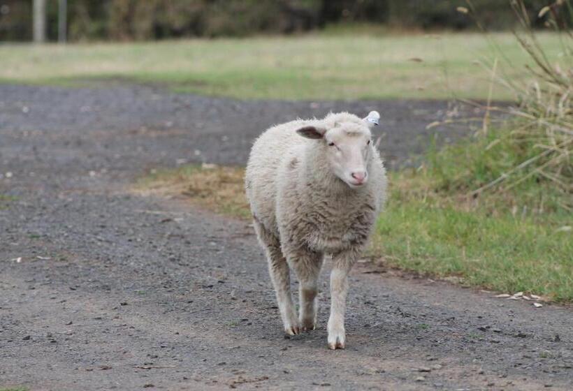 침실 3개 빌라, Bimbadeen Phillip Island Farm Retreats