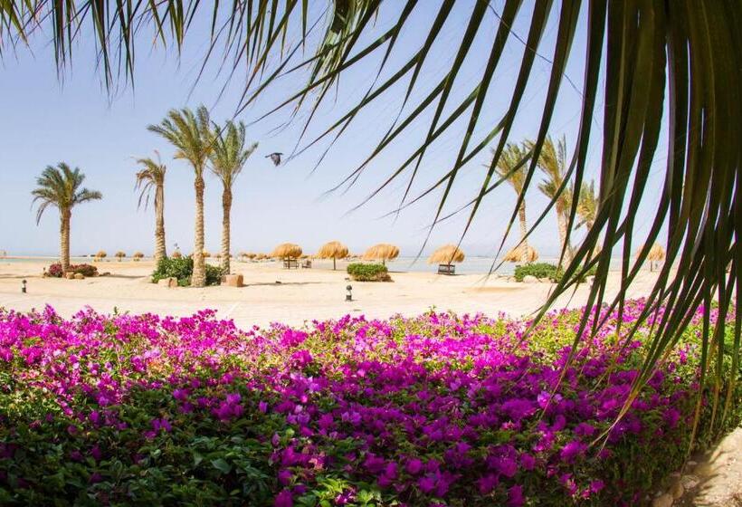 اتاق استاندارد یک نفره با چشم‌انداز دریا, Green Sudr Resort