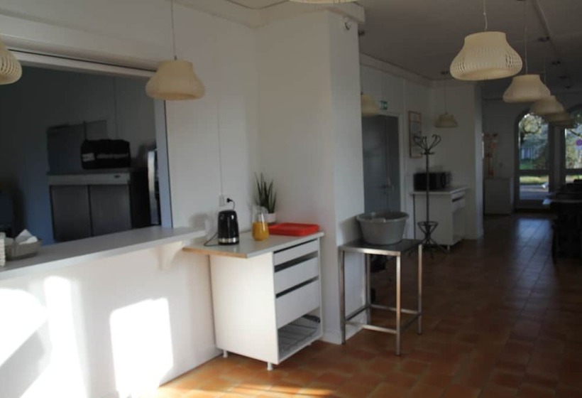 اتاق استاندارد یک نفره, Auberge De Jeunesse D Orleans