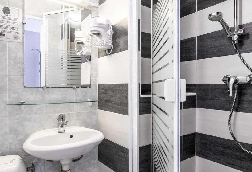 Трехместный Номер Классика, Comfort Hotel Rouen Alba