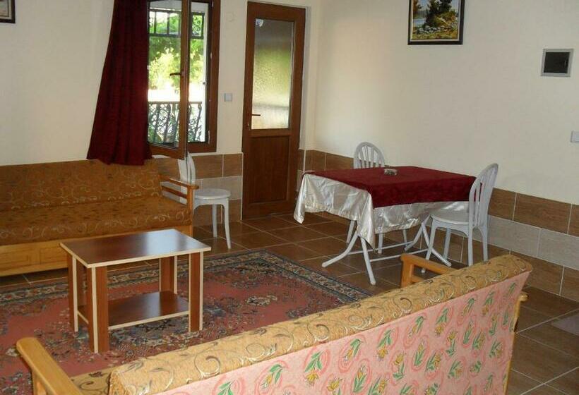 Апартаменты 1 Спальня, Villa Ozalp Apartments