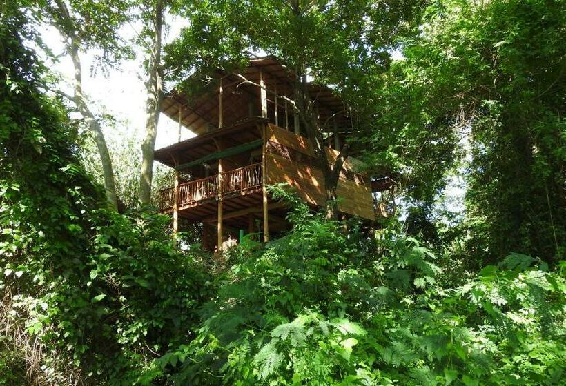 Номер Deluxe Кровать Кинг, River Side Cabana