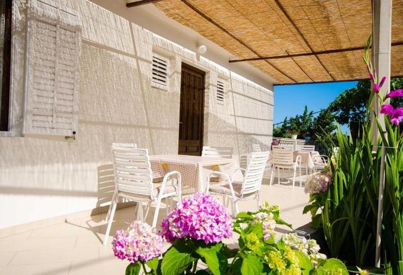 Студио Стандарт с Террасой, Guest House Rooms Rose