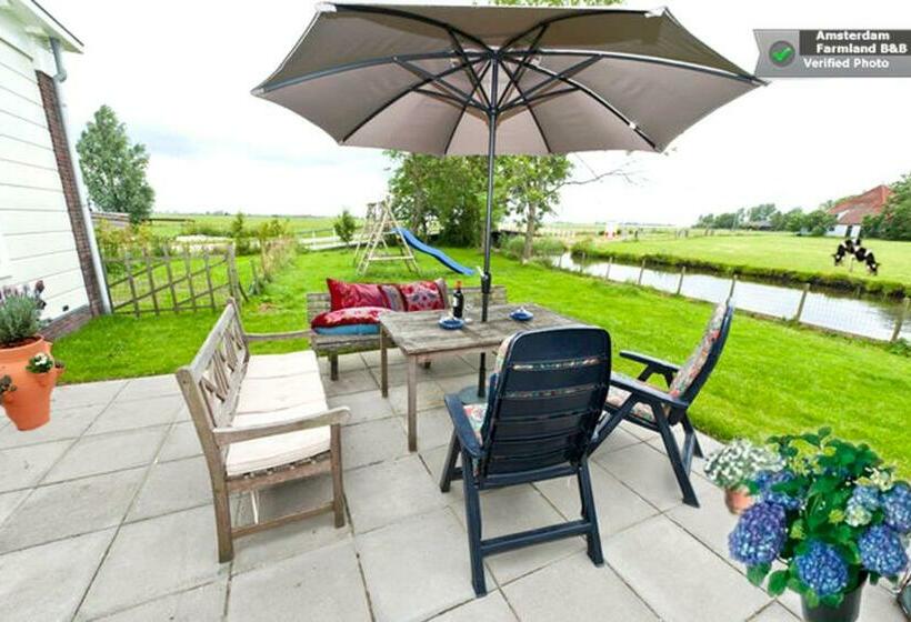 Люкс Повышенной Комфортности, Amsterdam Farmland