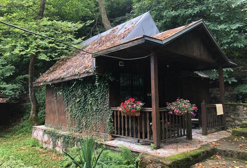 스탠다드 방갈로, Saint Nedelya
