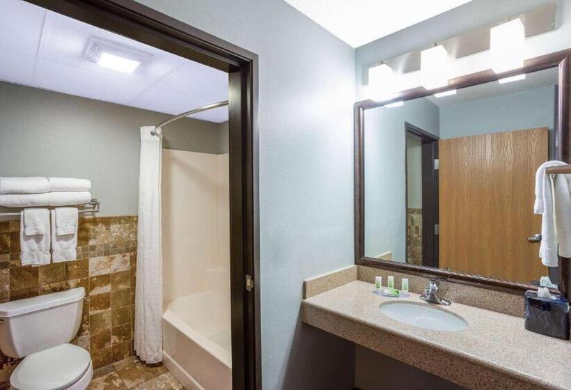 Номер Стандарт, Americinn By Wyndham Madison South