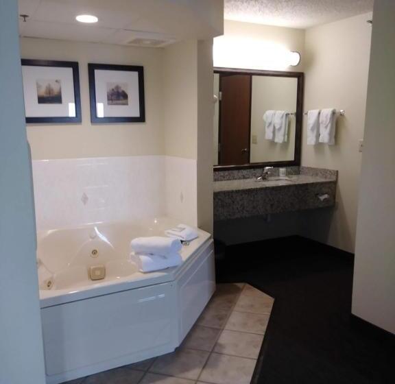Люкс Премиум, Americinn By Wyndham Windsor Ft. Collins