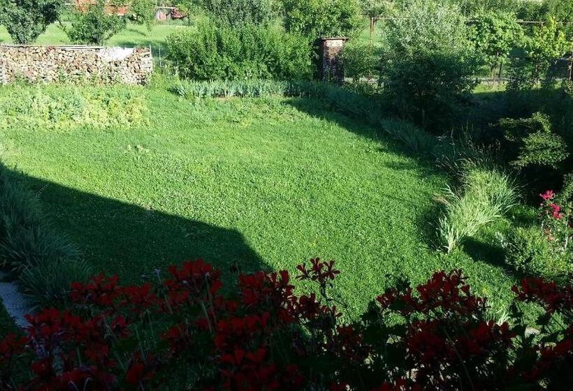 اتاق استاندارد سه نفره, Hazanéző Panzió