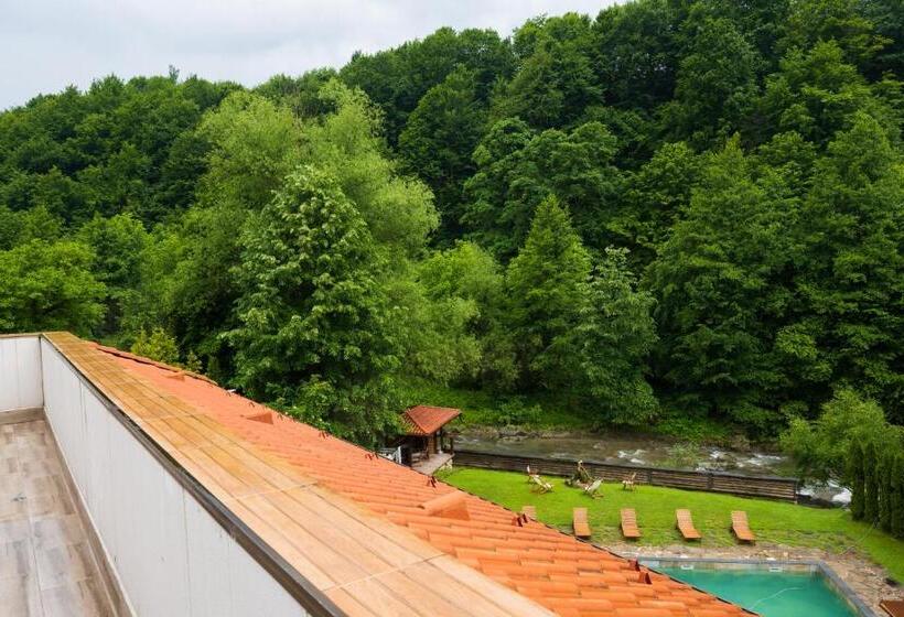 Апартаменты 1 Спальня, Guest House Valevtsi
