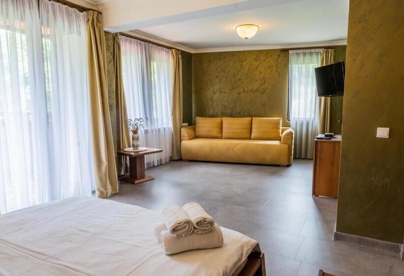Студио Стандарт Кровать Кинг, Guest House Valevtsi