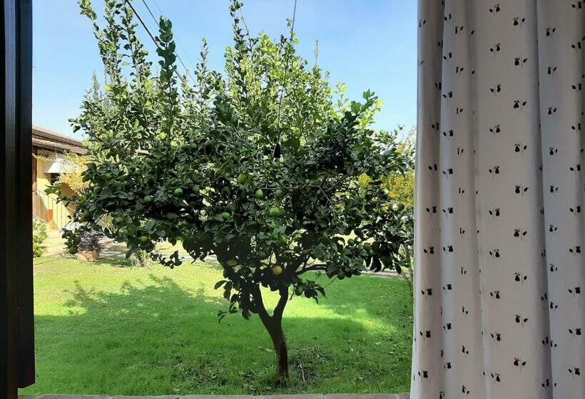 Номер Стандарт, Agriturismo Podere Bedin