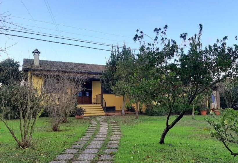 Семейный Номер Superior, Agriturismo Podere Bedin