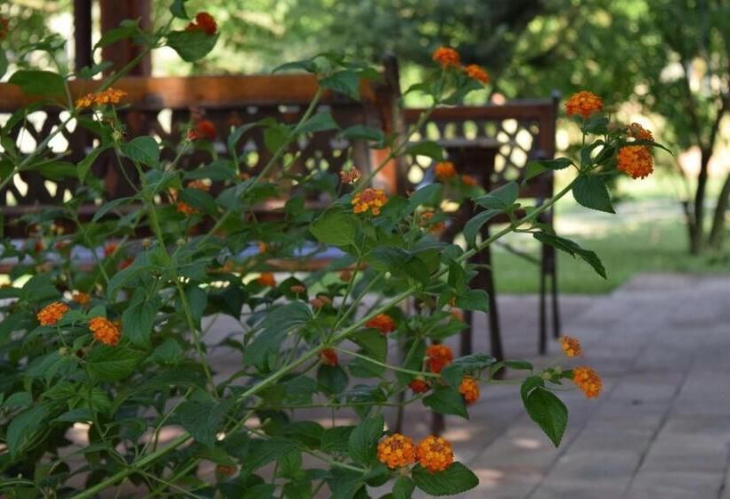 Семейный Номер Superior, Agriturismo Podere Bedin