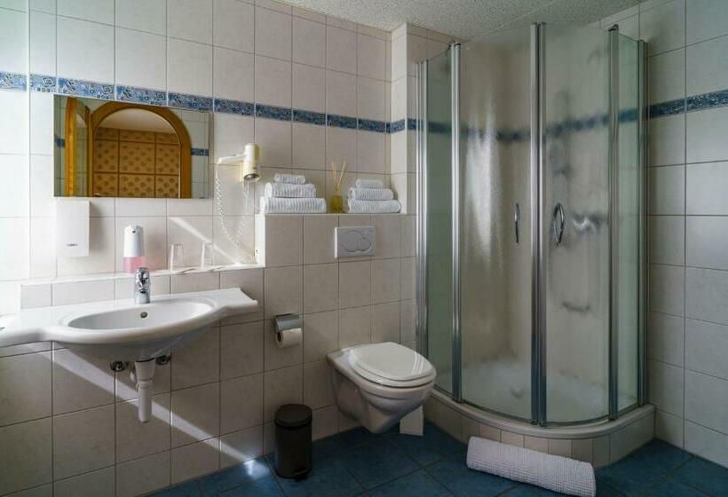 Номер Стандарт, Seeblick Smart Hotel Rössli