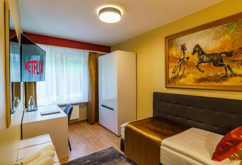 Номер Стандарт Индивидуальный, Seeblick Smart Hotel Rössli