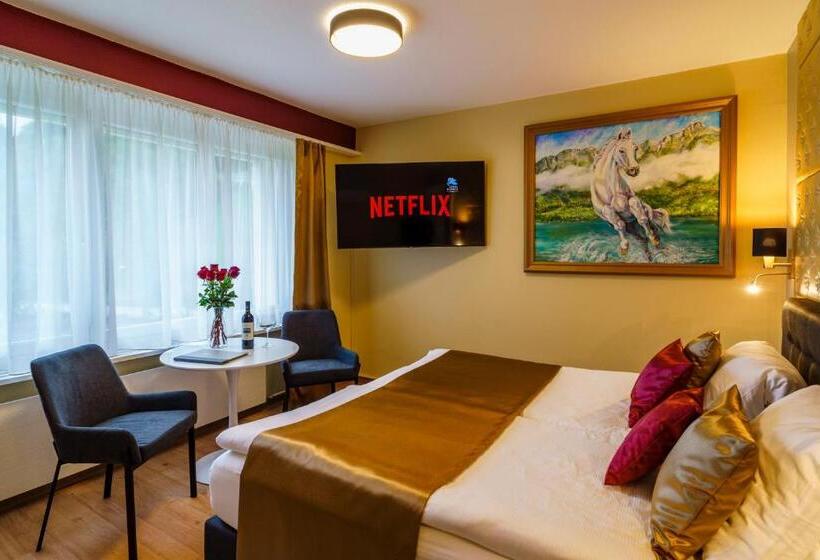 Номер Стандарт Совместная Ванная, Seeblick Smart Hotel Rössli