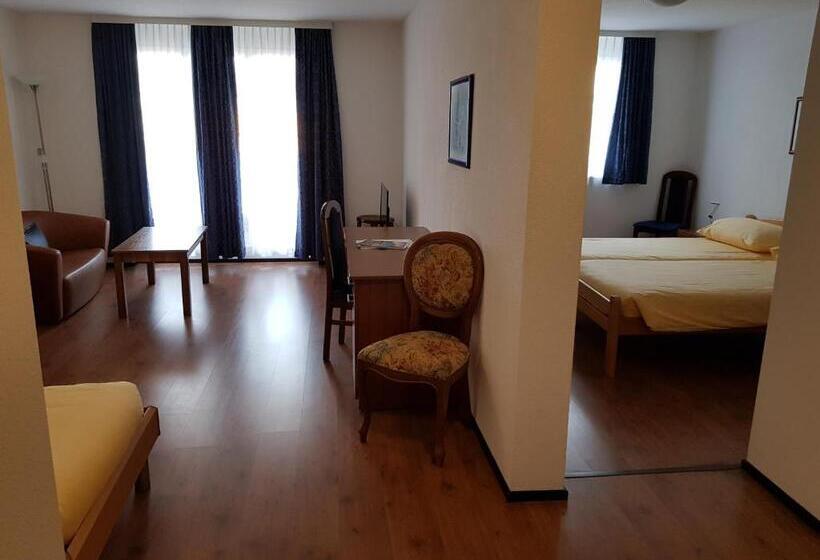Студия Стандарт, Motel & Aparthotel Brüggli