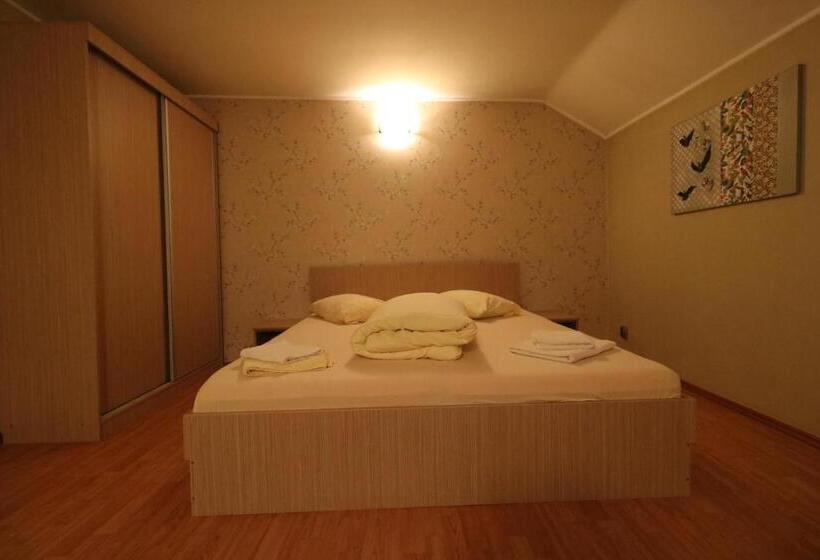 Номер Стандарт, Pensiunea Baroque Slimnic