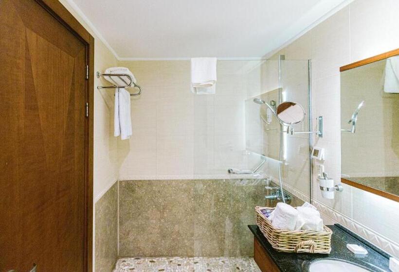 Одноместный Номер Executive, Ilica Hotel Spa & Wellness Resort
