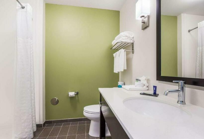 Люкс Кровать Кинг, Best Western Park City Wichita North