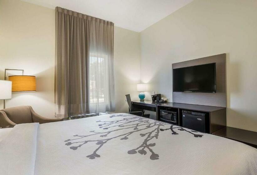 Стандартный Номер Кровать Кинг, Best Western Park City Wichita North