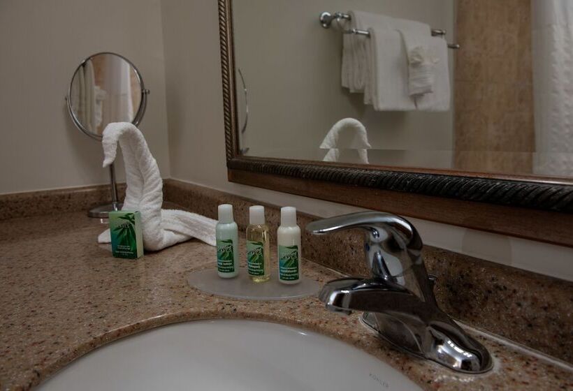 اتاق استاندارد برای معلولان, Caribe Hotel Ponce
