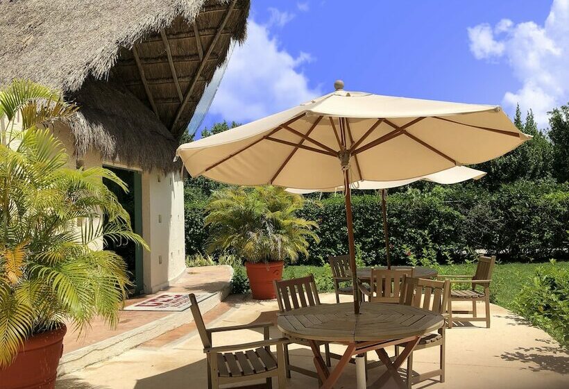 Cameră Superioară, Allegro Cozumel All Inclusive