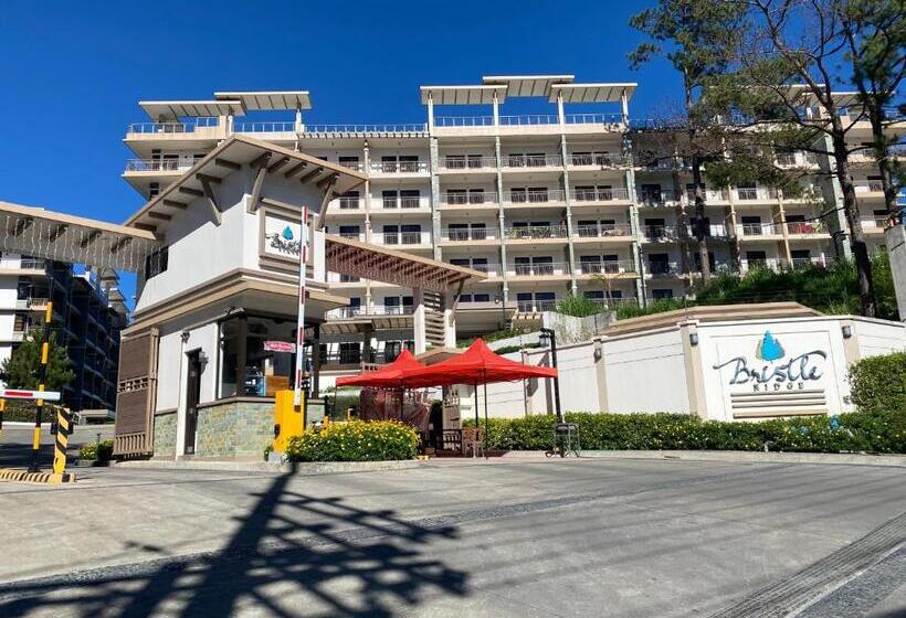 آپارتمان 1 خوابه با چشم‌انداز, Rosarich Homestay   Bristle Ridge Residences