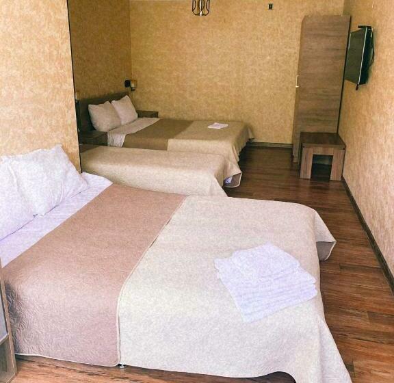 اتاق خانوادگی, House Lia
