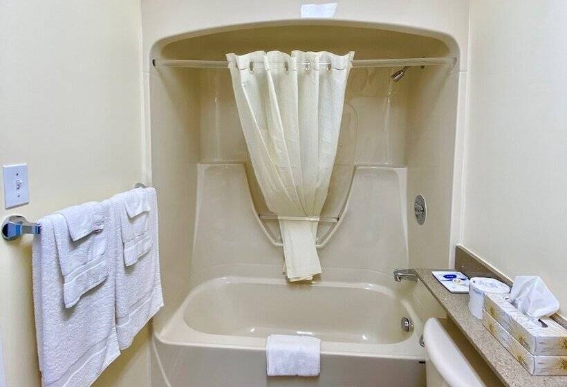 Номер Стандарт 2 Двуспальные Кровати, Colonial House Motor Inn