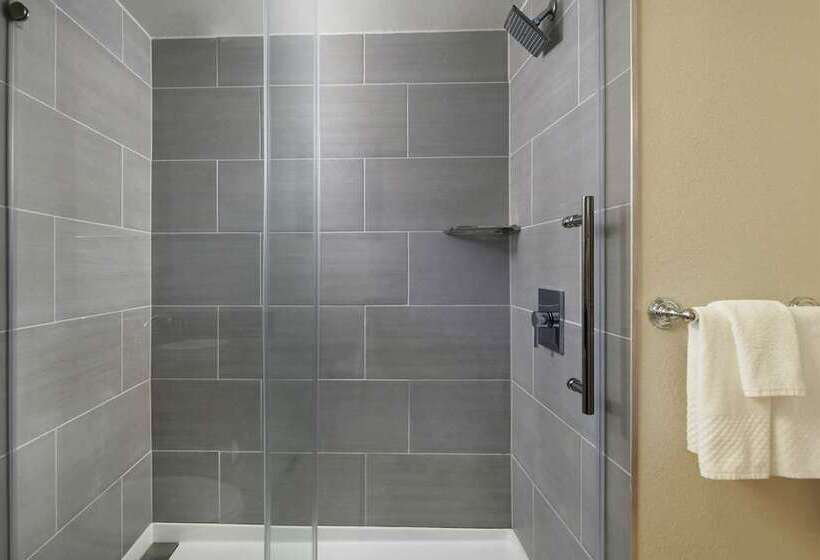 اتاق استاندارد با تخت بزرگ, Hilton Virginia Beach Oceanfront
