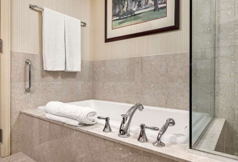 اتاق سوپریور با چشم‌انداز شهر, Hilton Virginia Beach Oceanfront