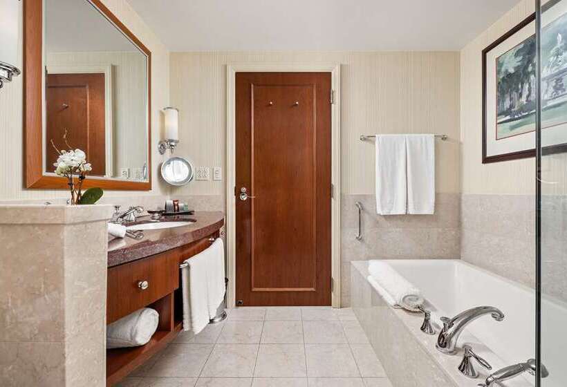 اتاق سوپریور با چشم‌انداز شهر, Hilton Virginia Beach Oceanfront
