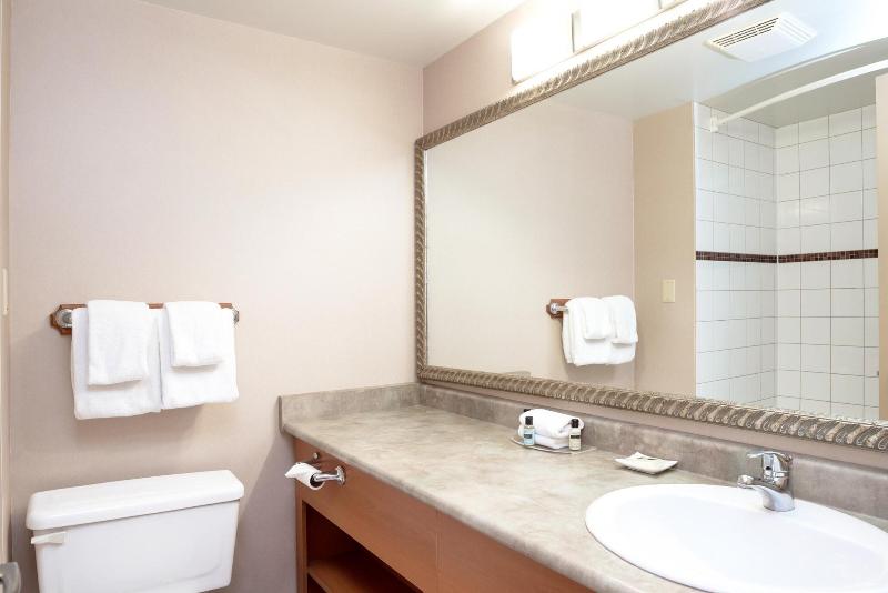 Люкс Кровать Кинг, Sandman Hotel & Suites Regina
