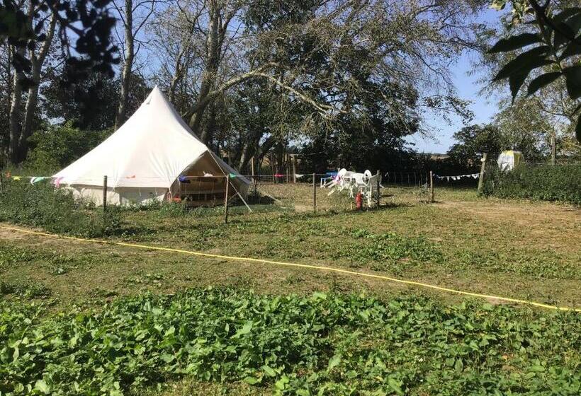 چادر با خدمات رفاهی استاندارد, Willow Barn
